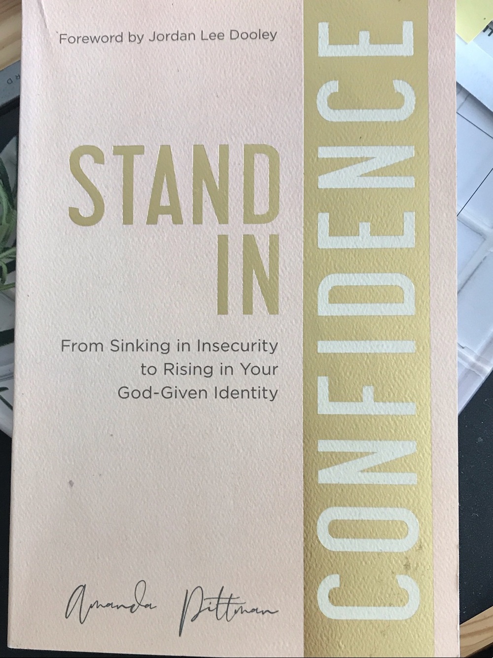 Amanda Pitman: Stand in Confidence